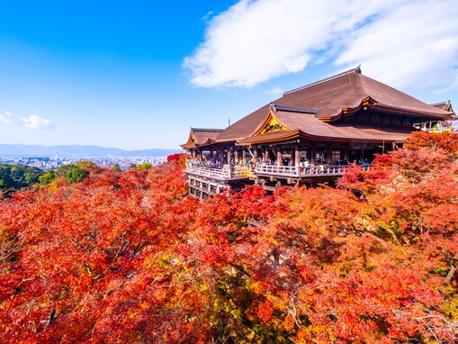 好き＆行ってみたい「京都府の紅葉スポット」ランキング！ 2位「清水寺」を抑えた1位は？【2025年調査】