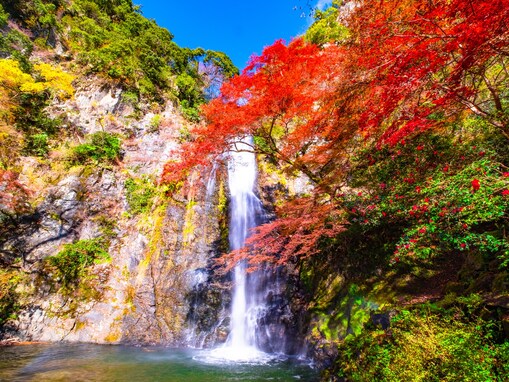 好き＆行ってみたい「大阪府の紅葉スポット」ランキング！ 2位「明治の森箕面国定公園」を抑えた1位は？【2025年調査】