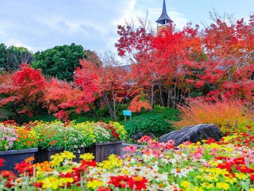 秋に行きたいと思う「三重県の絶景スポット」ランキング！ 2位「なばなの里」を抑えた1位は？ 【2025年調査】