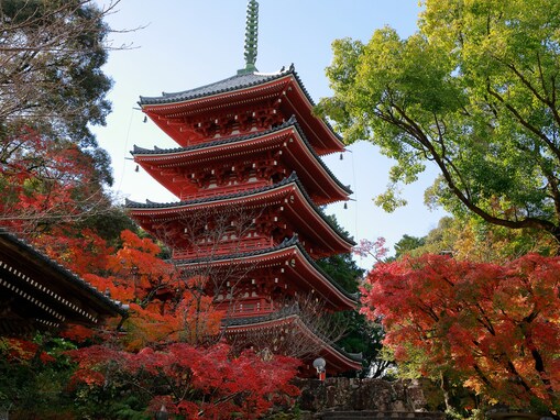 好き＆行ってみたい「高知県の紅葉スポット」ランキング！ 2位「五台山 竹林寺」を抑えた1位は？【2025年調査】