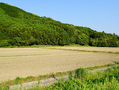 「老後に住みたい」と思う佐賀県の市ランキング！ 2位「伊万里市」を抑えた1位は？ 【2025年調査】
