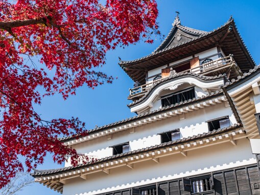 秋に行きたいと思う「愛知県の絶景スポット」ランキング！ 2位「国宝犬山城」、1位は？ 【2025年調査】