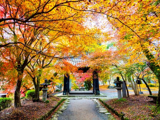 好き＆行ってみたい「福岡県の紅葉スポット」ランキング！ 2位「秋月城跡」を抑えた1位は？【2025年調査】