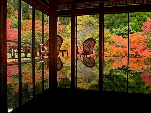 好き＆行ってみたい「佐賀県の紅葉スポット」ランキング！ 2位「環境芸術の森」を抑えた1位は？【2025年調査】