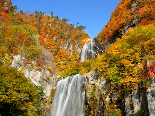 秋田県で「秋に行きたい滝」ランキング！ 2位「安の滝」を抑えた1位は？【2025年調査】