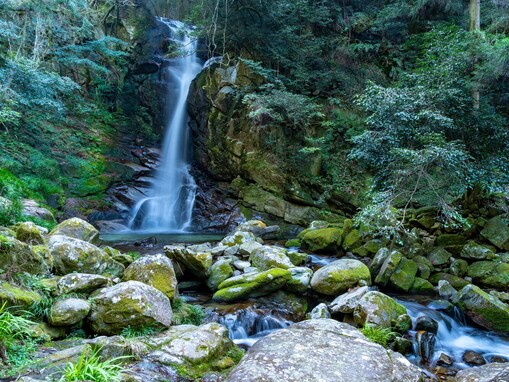 福岡県で「秋に行きたい滝」ランキング！ 2位「花乱の滝」を抑えた1位は？【2025年調査】
