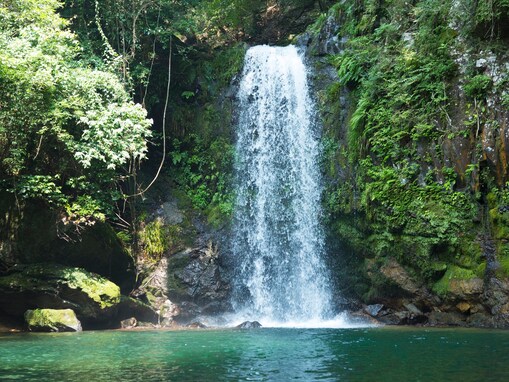 佐賀県で「秋に行きたい滝」ランキング！ 2位「轟の滝」を抑えた1位は？【2025年調査】