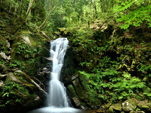 奈良県で「秋に行きたい滝」ランキング！ 2位「鷲の滝」を抑えた1位は？ 【2025年調査】