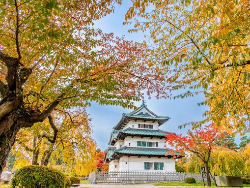 青森県で「ふるさと納税の返礼品が魅力的」と思う市ランキング！ 2位「弘前市」を抑えた1位は？【2025年調査】