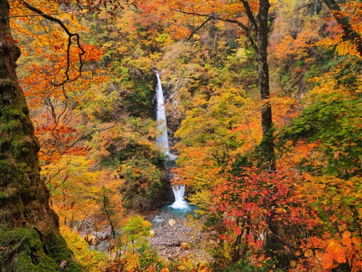 秋に行きたい「鳥取県の滝」ランキング！ 2位「大山滝」を抑えた1位は？【2025年調査】
