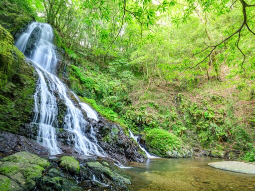秋に行きたい「山口県の滝」ランキング！ 2位「秋芳白糸の滝」を抑えた1位は？【2025年調査】