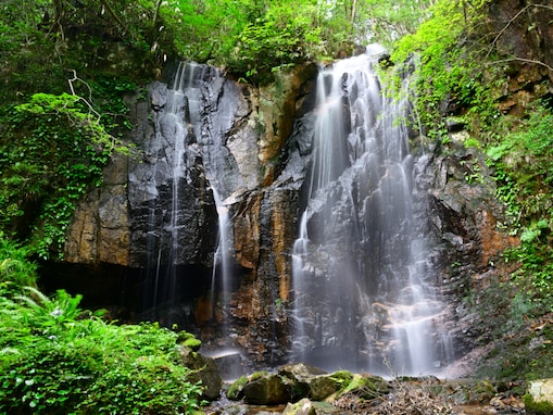 秋に行きたい「岡山県の滝」ランキング！ 2位「トヤの夫婦滝」を抑えた1位は？【2025年調査】