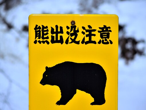 研究者が懸念する、クマよけの鈴の"逆効果化"。その兆候が2025年の「住宅・倉庫侵入」で見え始めた
