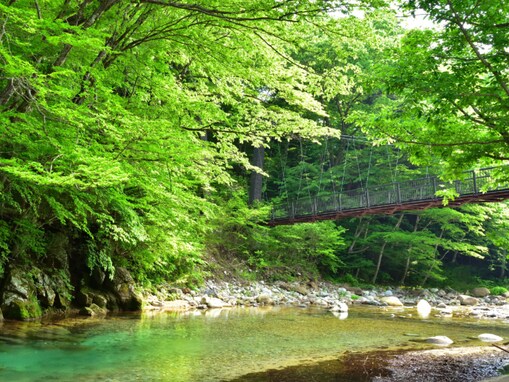 北関東の「憧れのナンバープレート」ランキング！ 2位「宇都宮」「那須」を抑えた1位は？ 【2025年調査】