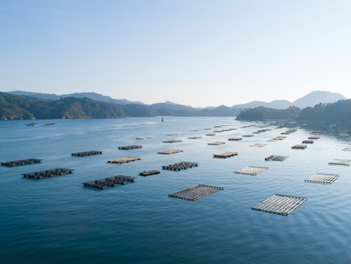 宮城県の市で「移住したい」と思う市ランキング！ 2位「気仙沼市」を抑えた1位は？【2025年調査】