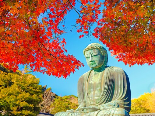 神奈川県の市で「移住したい」と思う市ランキング！ 2位「鎌倉市」を抑えた1位は？【2025年調査】