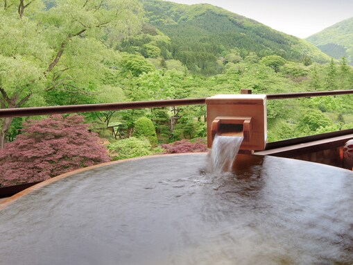 【楽天トラベル×スーパーDEAL】「瀬見温泉 ゆめみの宿 観松館」が実質33.5％引き！ 源泉掛け流しの温泉と山形の旬の美食を心ゆくまで【11月12日】