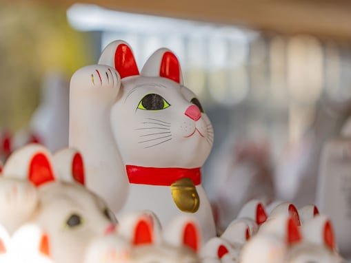 【2つの吉日×新月】11月20日は「トリプル開運日」！ 金運・浄化・リセットがかなう最強の過ごし方