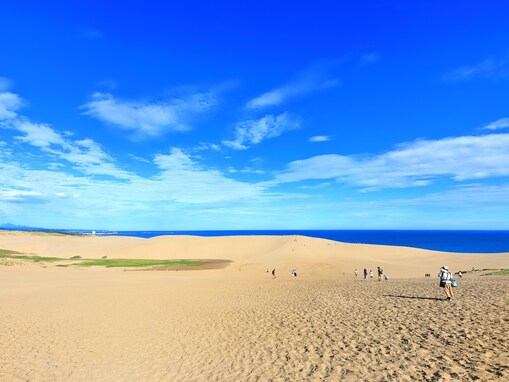 運転マナーがよさそうだと思う「中国地方のナンバープレート」ランキング！ 2位「鳥取」を抑えた1位は？【2025年調査】