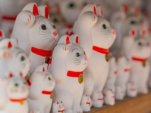 【運気上昇】11月24日は「3つの吉日」が同時到来するトリプル開運日！ 金運を上げる行動とは？