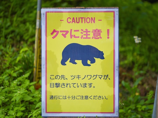 なぜクマの人身事故は急増したのか。自然写真家が語る「冬もクマが出る」異常事態の悲しい原因