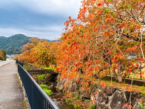 子連れで行きたいと思う「福岡県の道の駅」ランキング！ 2位「くるめ」を抑えた1位は？ 【2025年調査】