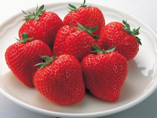 旅先で買いたい「福岡県のお土産」ランキング！ 2位「あまおうのチョコタルト」を抑えた1位は？ 【2025年調査】