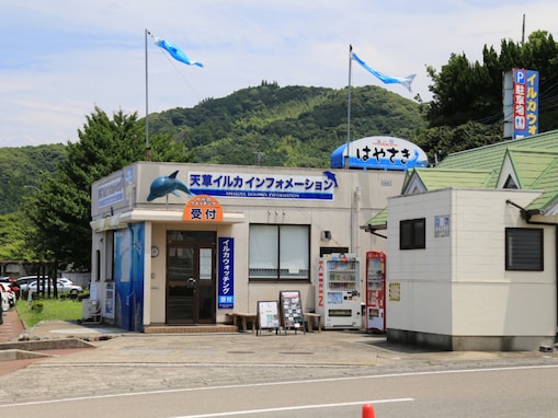 子連れで行きたいと思う「熊本県の道の駅」ランキング！ 2位「天草市イルカセンター」、1位は？【2025年調査】