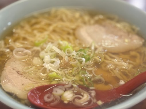 旅先で食べたい「栃木県のご当地グルメ」ランキング！ 2位「佐野ラーメン」、1位は？ 【2025年調査】