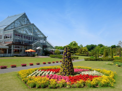 旅先で食べたい「千葉県のご当地グルメ」ランキング！ 2位「ホワイト餃子」、1位は？ 【2025年調査】