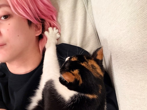 「佐久間担への特大マウント…」佐久間大介、愛猫との密着ショットに「斬新なポーズw」「うらやましい」の声！