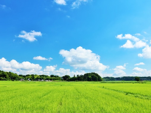 出身と聞いてすごいと思う「北陸地方の私立進学校」ランキング！ 2位「新潟明訓高等学校」、1位は？ 【2025年調査】