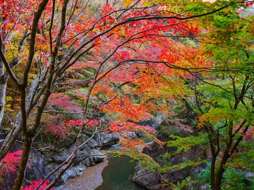 長期休みに行きたい「埼玉県の穴場秘境」ランキング！ 2位「中津峡」、1位は？ 【2025年調査】