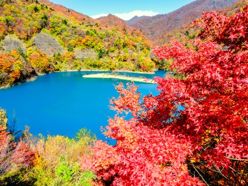 長期休みに行きたい「群馬県の穴場秘境」ランキング！ 2位「奥四万湖」、1位は？ 【2025年調査】