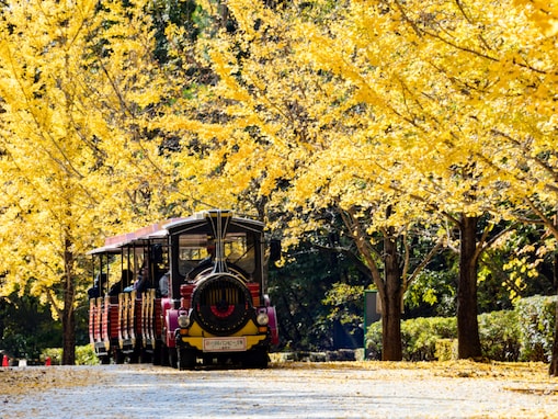 埼玉県で「外国人観光客におすすめしたい温泉地」ランキング！ 「柴原温泉」を抑えた1位は？ 【2025年調査】