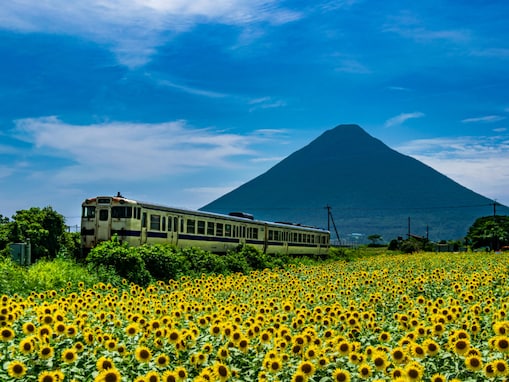 老後に住みたい「鹿児島県の自治体」ランキング！ 2位「指宿市」を抑えた1位は？ 【2025年調査】