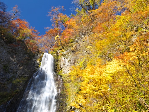 長期休みに行きたい「青森県の穴場秘境」ランキング！ 2位「くろくまの滝」、1位は？ 【2025年調査】