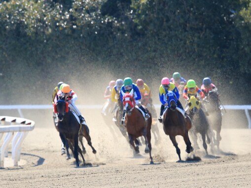 好き＆行ってみたい「競馬場（地方競馬）」ランキング！ 2位「大井競馬場」を抑えた1位は？【2025年調査】
