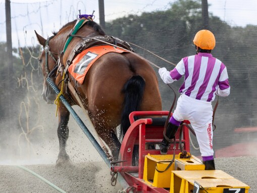 競馬ファンでなくても楽しめると思う「競馬場（地方競馬）」ランキング！ 「帯広競馬場」を抑えた1位は？【2025年調査】