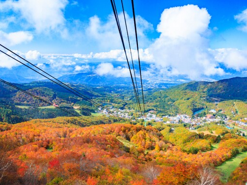 好き＆行ってみたい「日本の高原」ランキング！ 2位「山形蔵王中央高原」を抑えた1位は？【2025年調査】