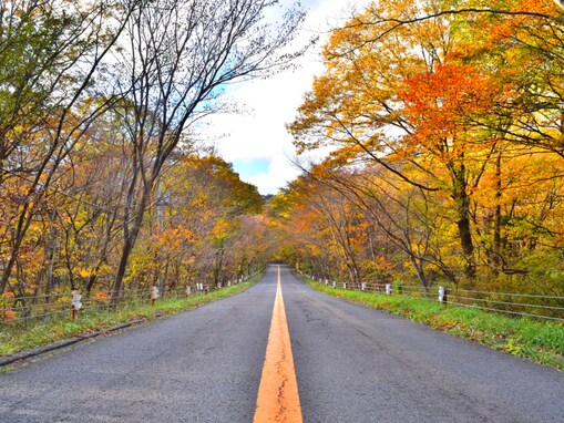 クリスマスに行きたい「栃木県の絶景ドライブスポット」ランキング！ 2位「那須高原スカイライン」を抑えた1位は？