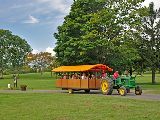 【2025年度版】岩手県民が選んだ「街の幸福度（自治体）」ランキング！ 2位「雫石町」を抑えた1位は？