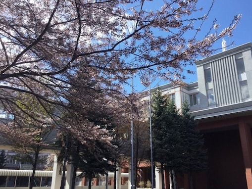 優秀な学生が多いと思う「北海道の私立進学校」ランキング！ 2位「札幌光星高等学校」を抑えた1位は？【2025年調査】