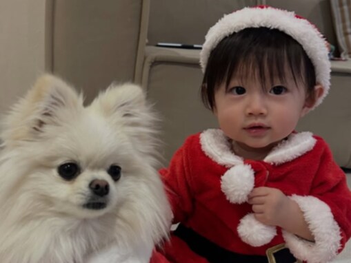 「かわいいサンタ」黄皓、娘の顔出しショット＆妻のクオリティ高すぎ手料理に「もはや店出せる」「伝家の宝刀」