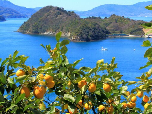 絶対に外さないと思う「広島県の1000円未満のお土産」ランキング！ 2位「かっぱえびせん匠海」を抑えた1位は？