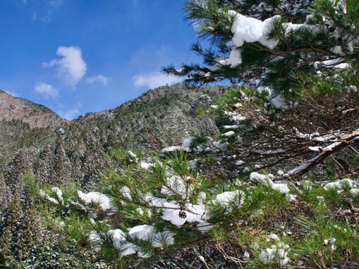冬に行きたい「和歌山県（南紀・熊野・白浜エリア）の温泉地」ランキング！ 2位「龍神温泉」を抑えた1位は？【2026年調査】