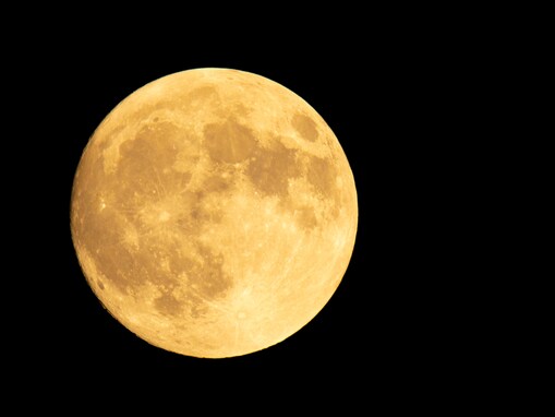 宮城県らしさを感じる「宮城県のお土産」ランキング！ 2位「萩の月」を抑えた1位は？【2026年調査】