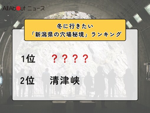 冬に行きたい「新潟県の穴場秘境」ランキング！ 2位「清津峡」を抑えた1位は？【2026年調査】