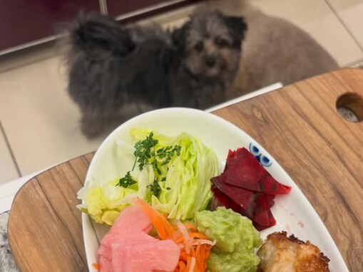 「中々作れるもんじゃないょ」工藤静香、健康的な手料理に絶賛の声！ 「職人の域」「もー主婦の鏡」