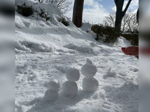 土屋太鳳、プライベート？ で能登訪問。“家族”ショットに「きっと小さい家族ちゃんは始めての経験かな」反響